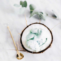 Coconut & Mint Ice-Cream
